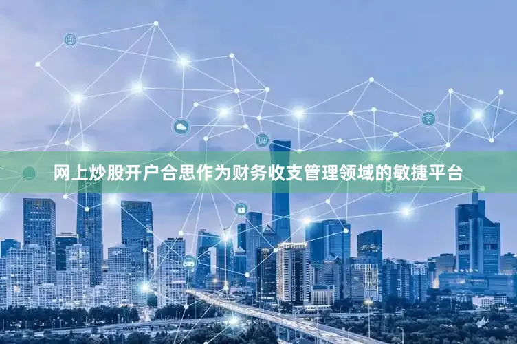网上炒股开户合思作为财务收支管理领域的敏捷平台