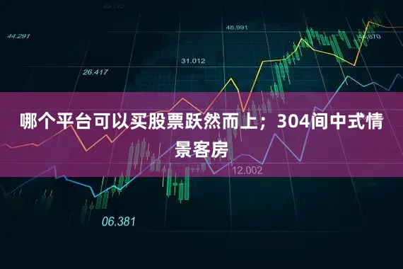 哪个平台可以买股票跃然而上；304间中式情景客房